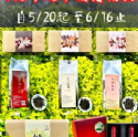 端午優惠活動 自113/5/20起至113/6/16止