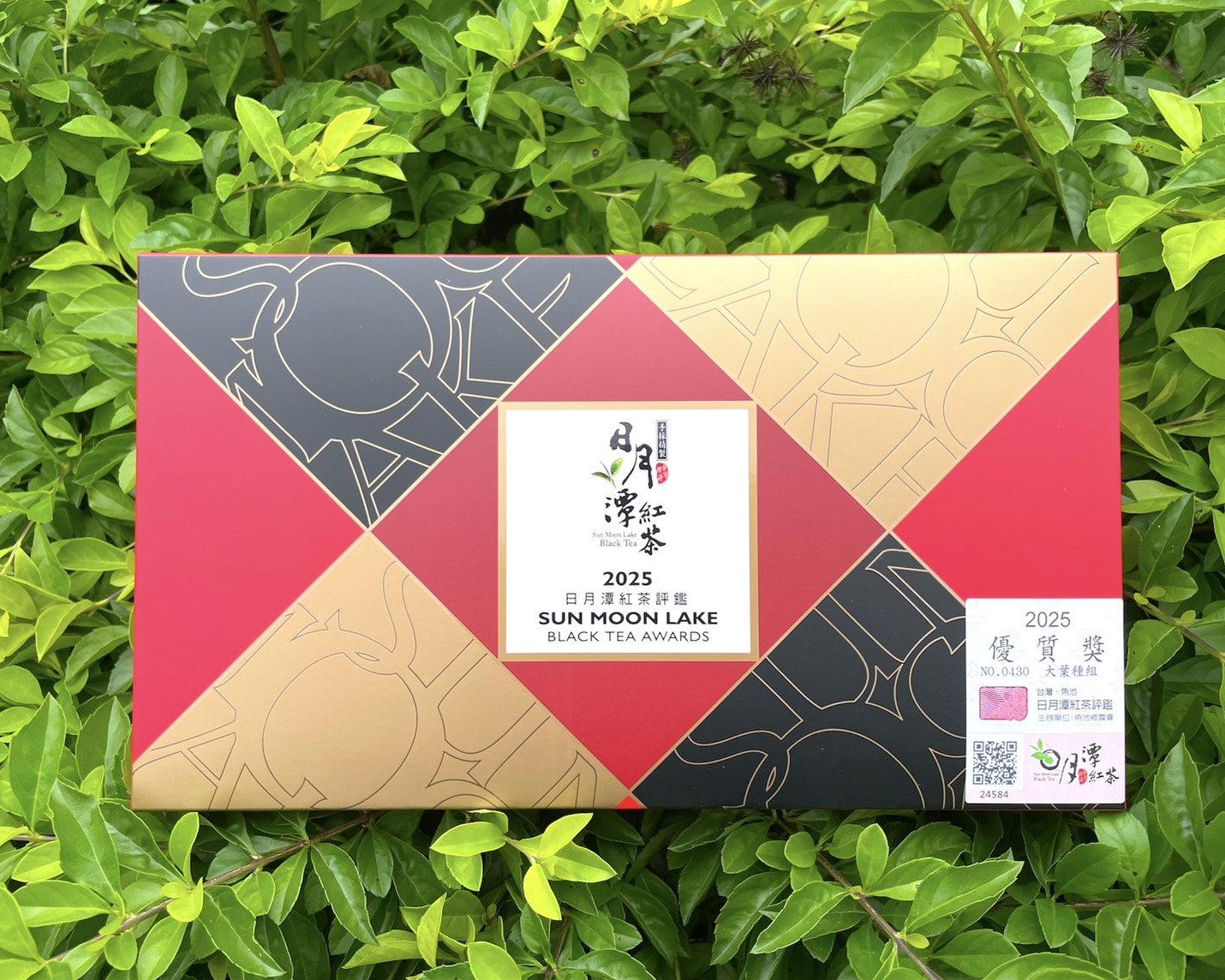 2025年 優質獎 大葉種-老茶樹紅茶