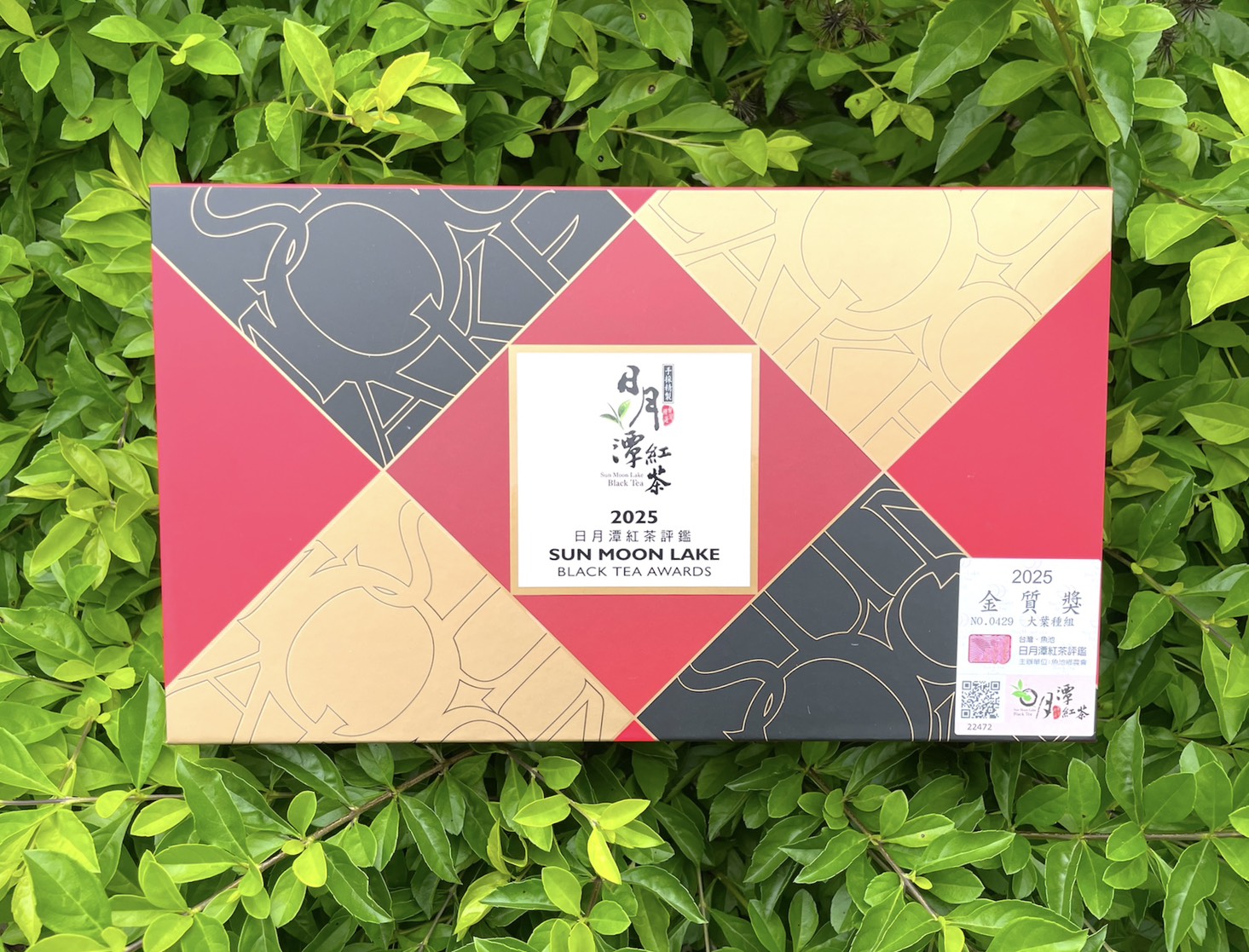 2025年 金質獎 大葉種-老茶樹紅茶