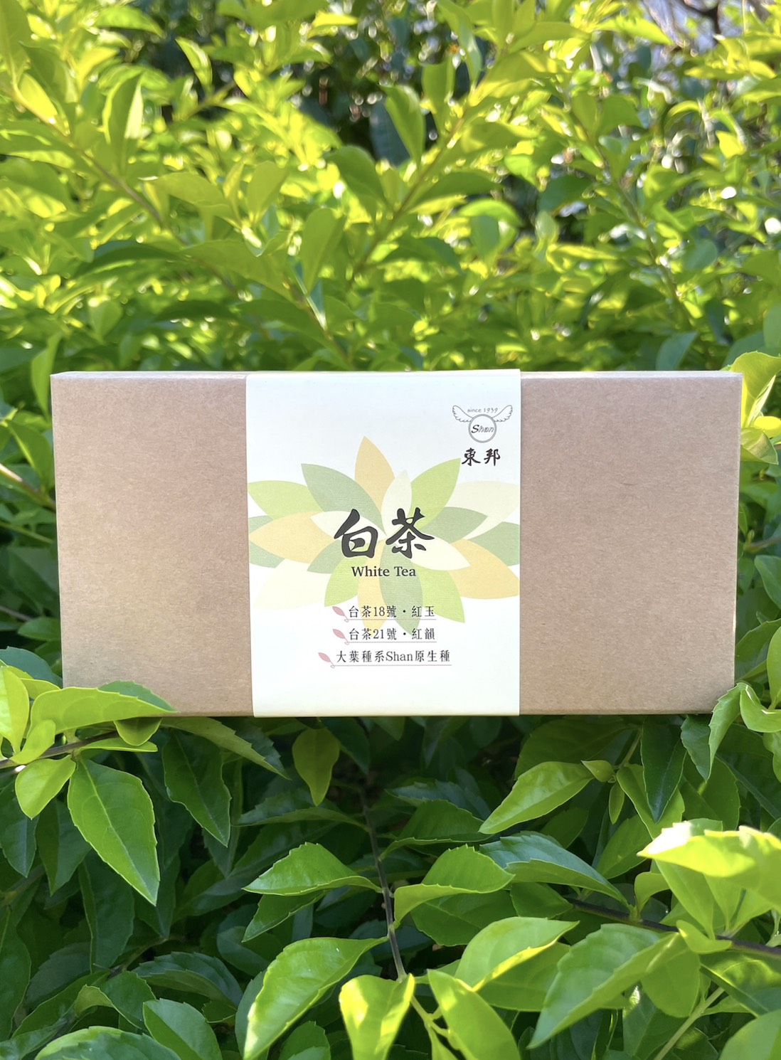 台茶18號●紅玉白茶｜文創環保包(20g)