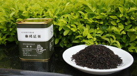 古典東邦-陳年老茶140g（限量販售）